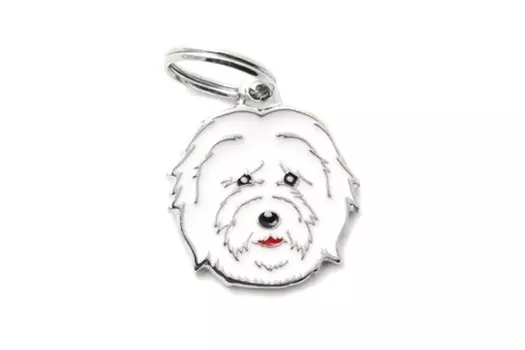 Адресник My Family colors Болонка цветной средний