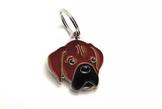 Адресник My Family colors Боксер тигровый цветной средний