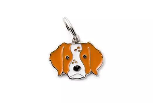 Адресник My Family colors Бретонский эпаньоль цветной средний