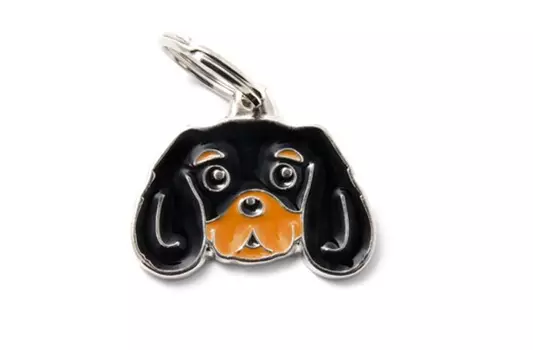 Адресник My Family colors Кавалер-кинг-чарльз-спаниель чёрно-подпалый цветной средний