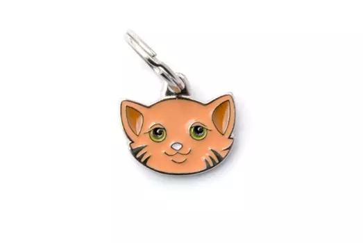 Адресник My Family colors Кошка рыжая цветной средний