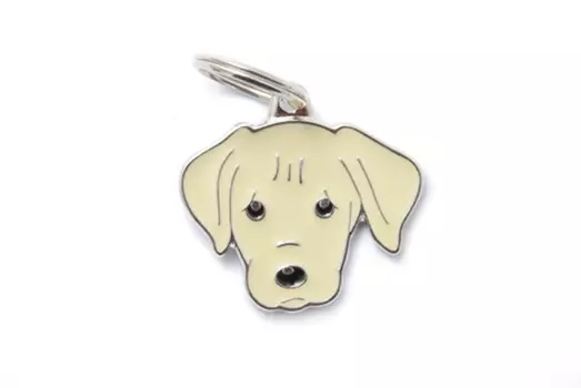 Адресник My Family colors Лабрадор кремовый цветной средний