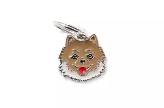 Адресник My Family colors Померанский шпиц цветной средний