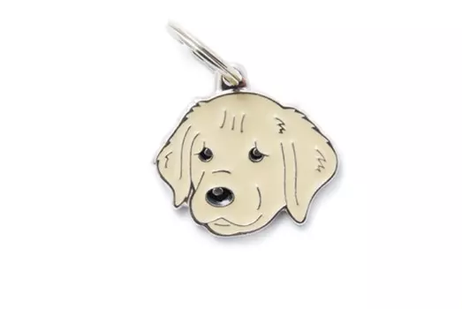 Адресник My Family colors Золотой ретривер цветной средний