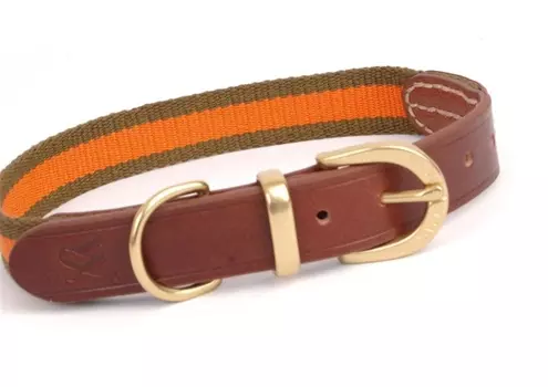 Ошейник Waifs&Strays комбинированная коричневая кожа/оранжевая тесьма кожа m