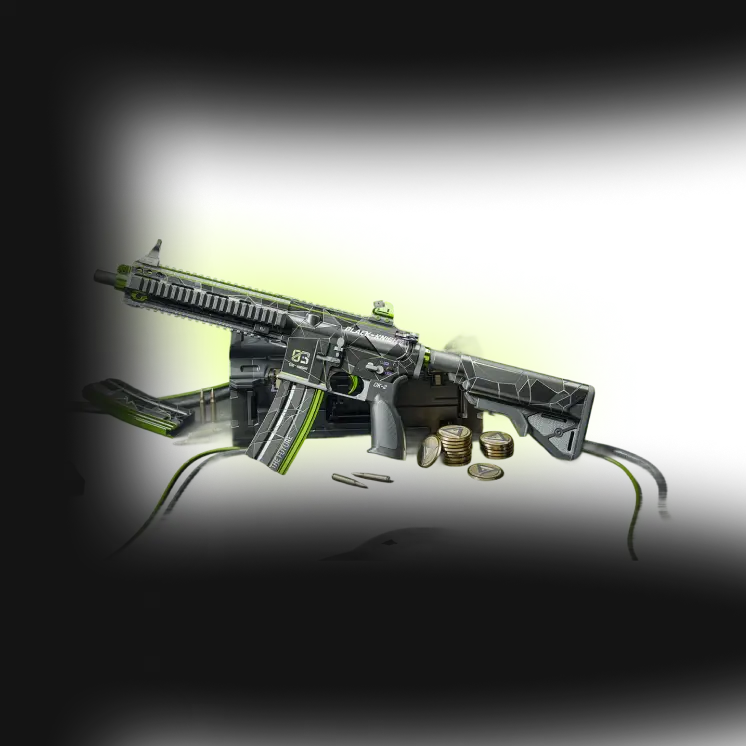 Silent Sentinel Supplies