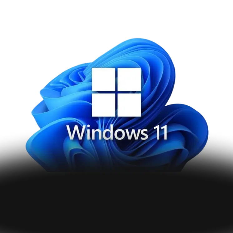 Windows 11 Pro