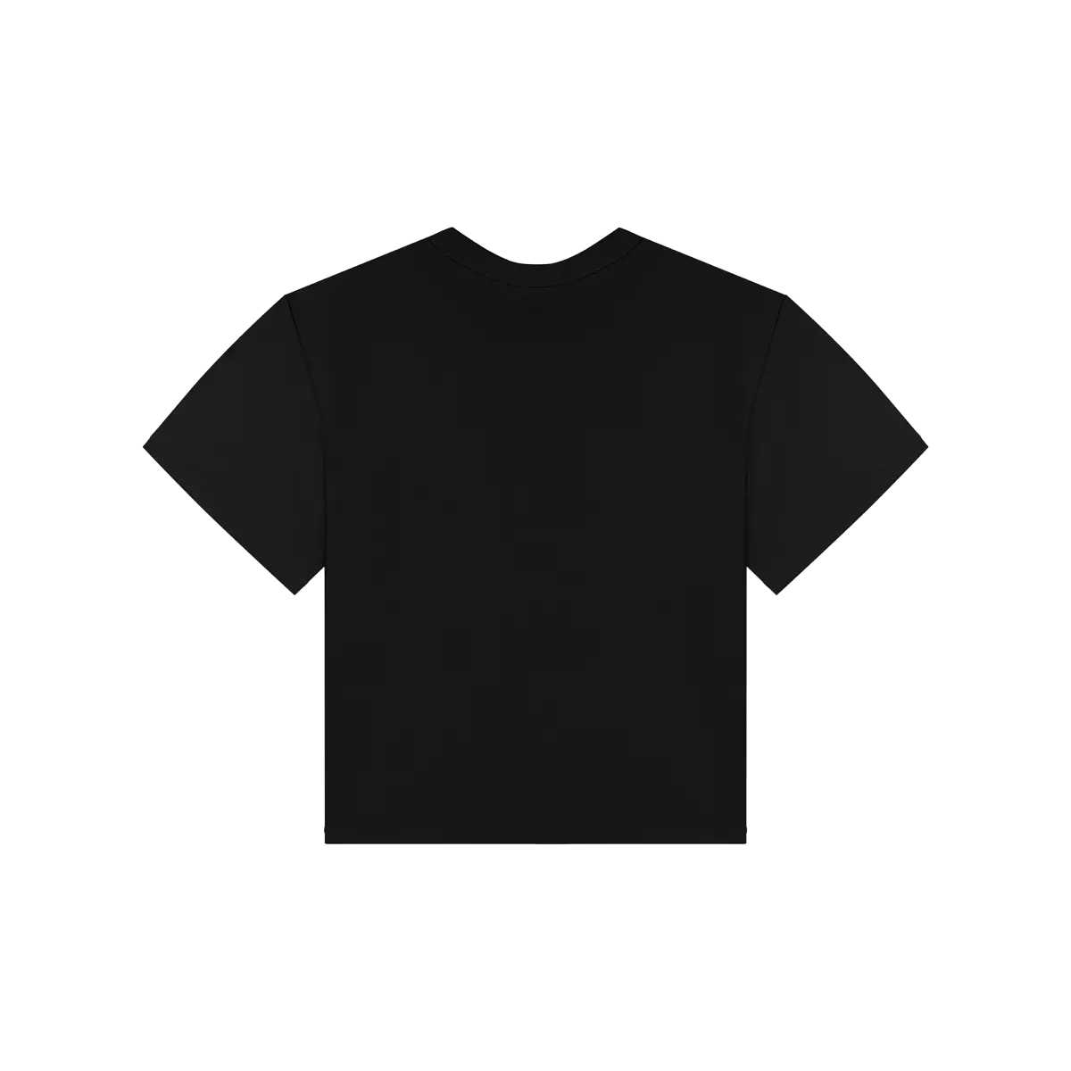 Кроп-топ Крылья гармонии