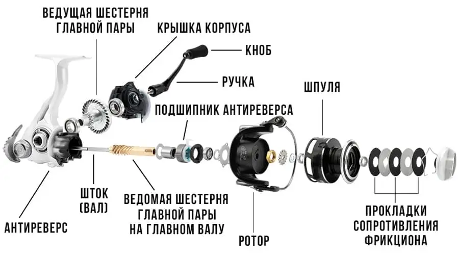 "Шок: Изменение выступа отличает профессионала от новичка?!"