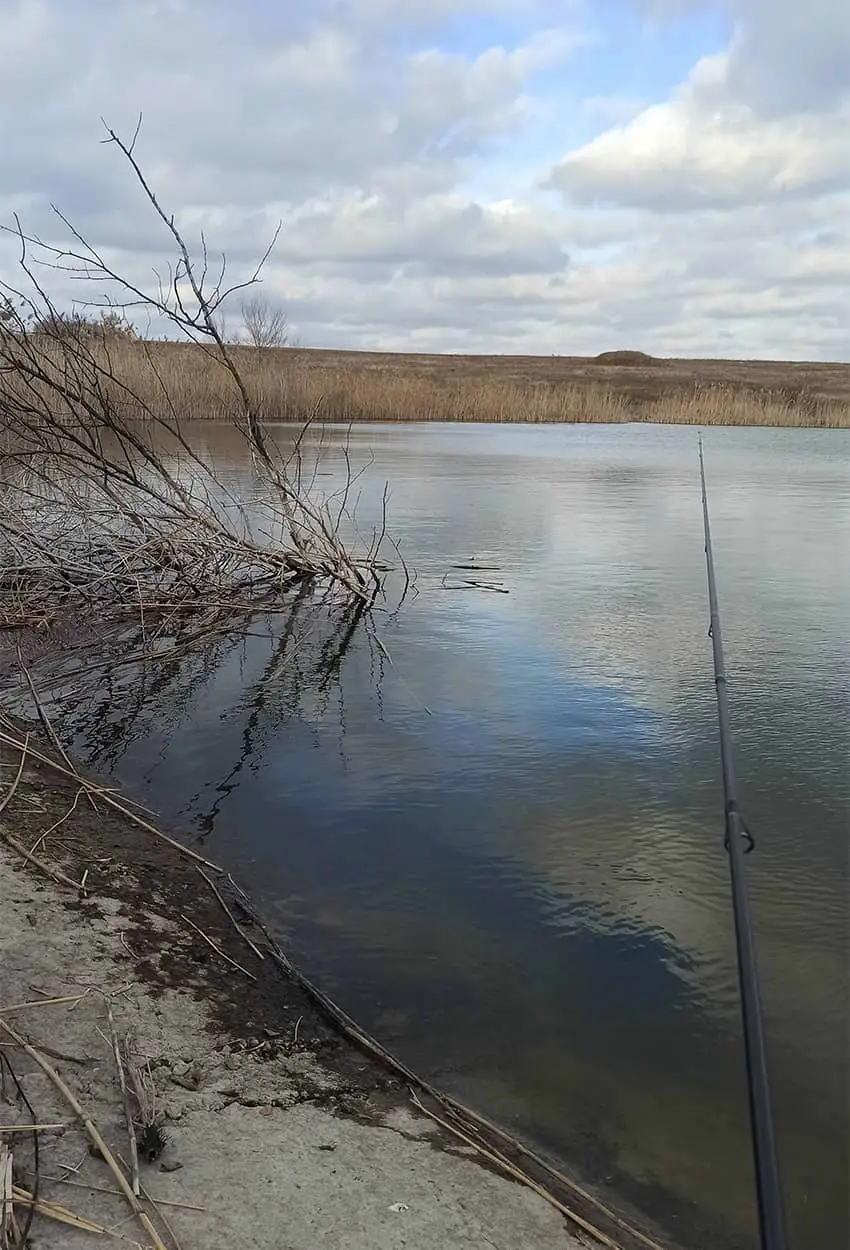 Выбранное место ловли окуня