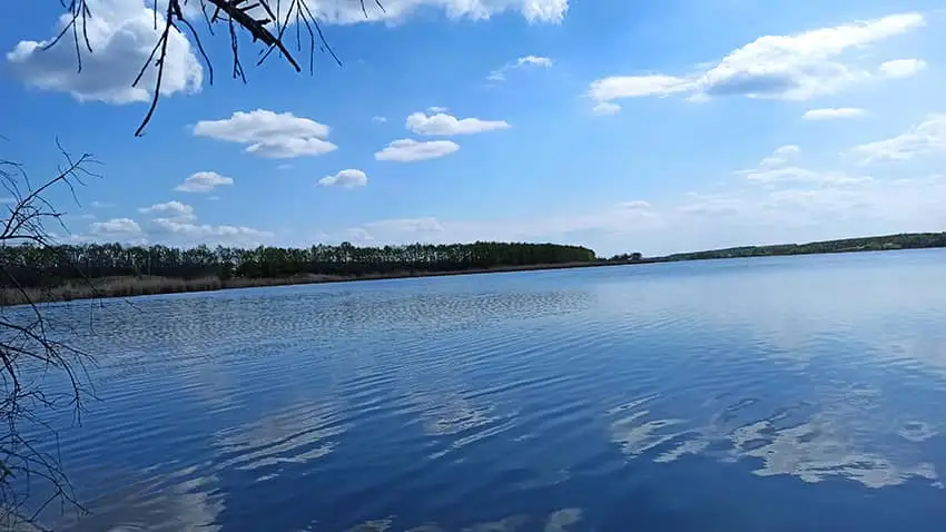 Погода благоприятствовала рыбалке на окуня на ультралайт