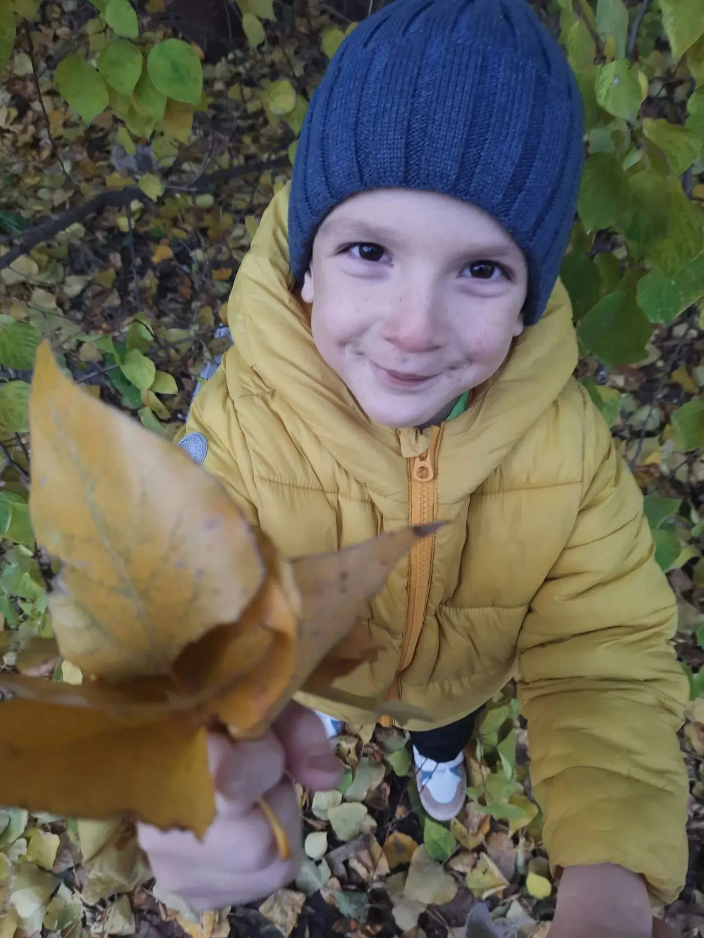 У 6-летнего Миши — ДЦП и ЗПР, ему нужны занятия с эрготерапевтом и массаж 