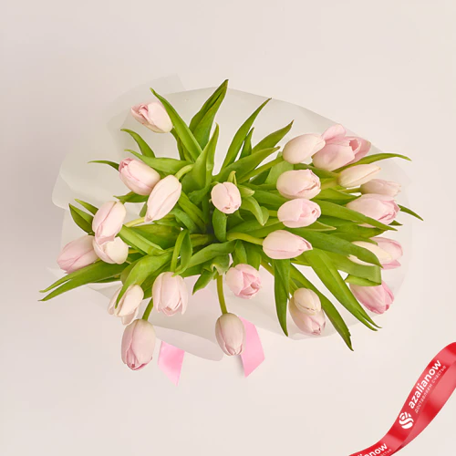 Фото 2: 25 светло-розовых тюльпанов в упаковке. Сервис доставки цветов AzaliaNow