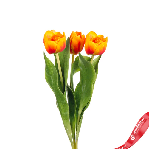 Фото 1: Букет из 3 ораньжевых тюльпанов. Сервис доставки цветов AzaliaNow