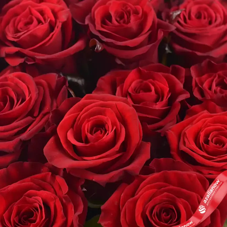 Фото 4: 101 красная роза Гранд 50 см. Сервис доставки цветов AzaliaNow
