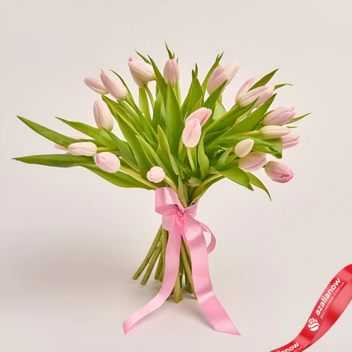 Фото 1: 25 светло-розовых тюльпанов без упаковки. Сервис доставки цветов AzaliaNow