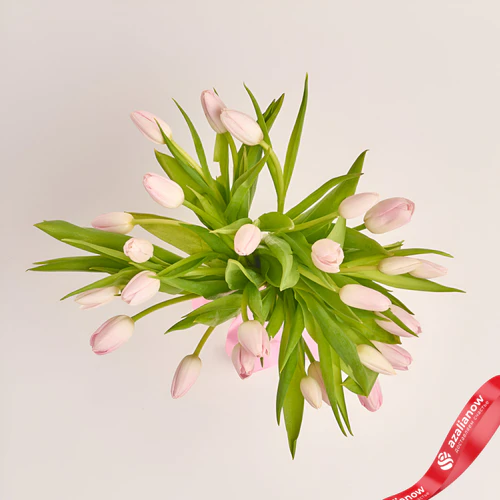 Фото 2: 25 светло-розовых тюльпанов без упаковки. Сервис доставки цветов AzaliaNow