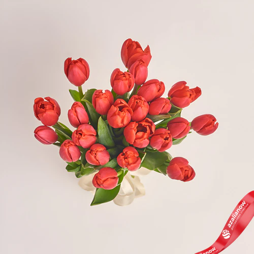 Фото 2: 25 красных тюльпанов без упаковки. Сервис доставки цветов AzaliaNow