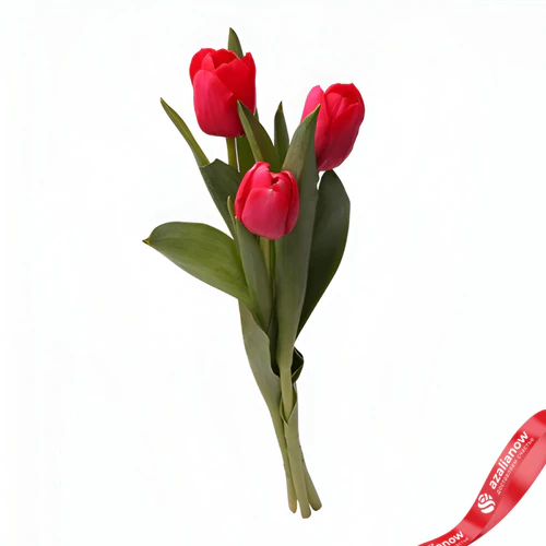 Фото 1: Букет из 3 красных тюльпанов . Сервис доставки цветов AzaliaNow