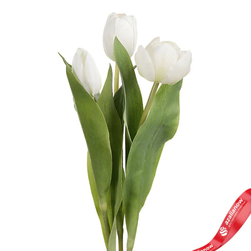 Фото 1: Букет из 3 белых тюльпанов. Сервис доставки цветов AzaliaNow