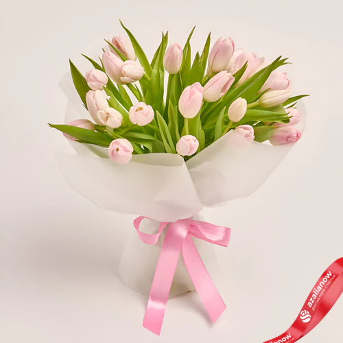 Фото 1: 25 светло-розовых тюльпанов в упаковке. Сервис доставки цветов AzaliaNow