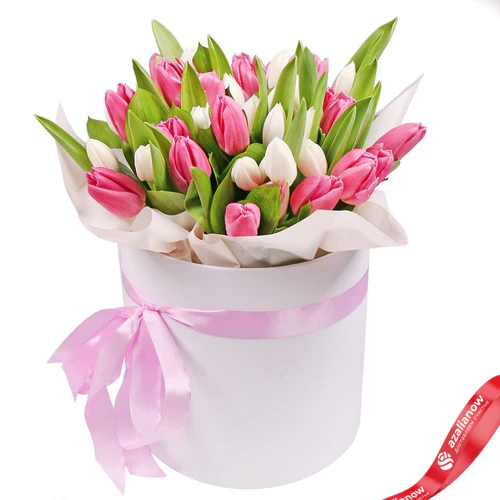 Фото 1: Букет из 16 белых тюльпанов и 15 розовых тюльпанов в белой коробке. Сервис доставки цветов AzaliaNow