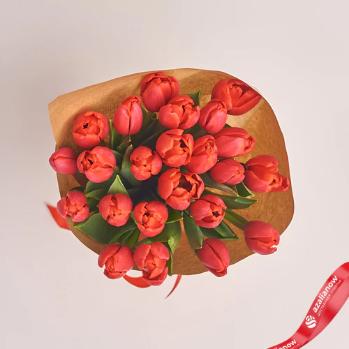 Фото 2: 25 красных тюльпанов в упаковке. Сервис доставки цветов AzaliaNow