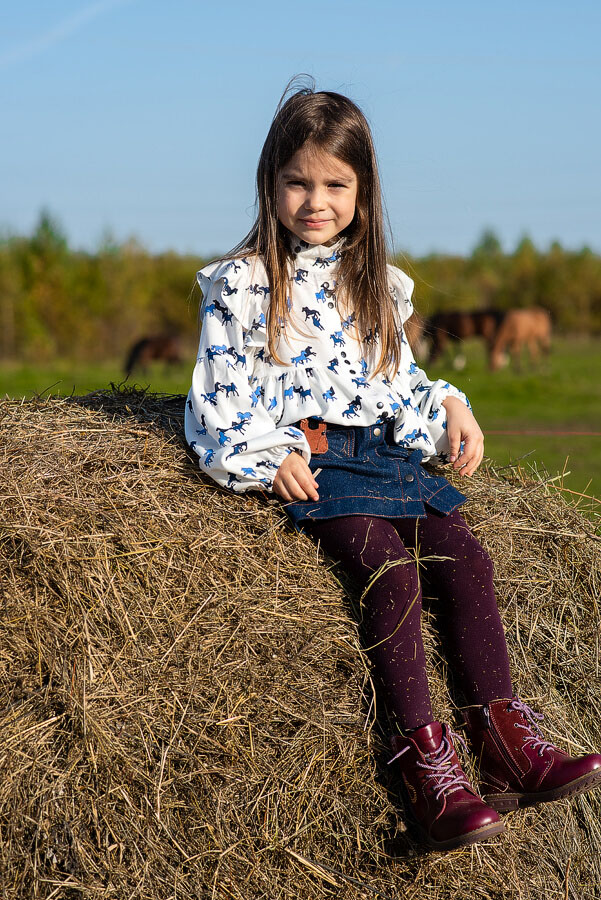 с лошадками