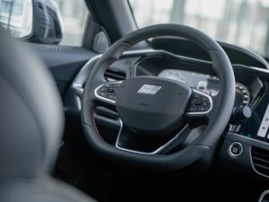 Новый Knewstar 001 2025 2.0 AT (238 л.с.) 4WD Flagship Sport  - фото 8