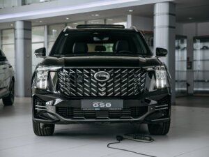 Новый GAC GS8 2025 Dragon 2.0 AT (231 л.с.) 4WD GT  - фото 2