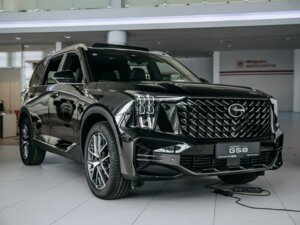 Новый GAC GS8 2025 Dragon 2.0 AT (231 л.с.) 4WD GT  - фото 3