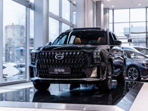 Новый GAC GS8 2025 Dragon 2.0 AT (231 л.с.) 4WD GX Premium  - фото 2