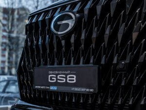 Новый GAC GS8 2025 Dragon 2.0 AT (231 л.с.) 4WD GX Premium  - фото 6