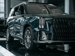 Новый GAC GS8 2025 Dragon 2.0 AT (231 л.с.) 4WD GX Premium  - фото 3