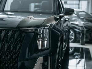 Новый GAC GS8 2025 Dragon 2.0 AT (231 л.с.) 4WD GX Premium  - фото 4