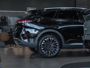 Новый Exeed RX 2025 2.0 AT (249 л.с.) 4WD Premium  - фото 6