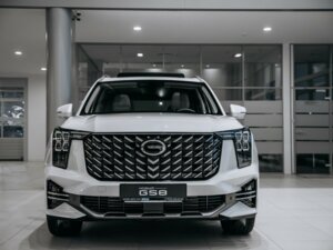 Новый GAC GS8 2026 Dragon 2.0 AT (231 л.с.) 4WD GT  - фото 2