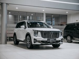 Новый GAC GS8 2026 Dragon 2.0 AT (231 л.с.) 4WD GT  - фото 3