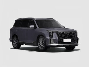Новый GAC GS8 2026 Dragon 2.0 AT (231 л.с.) 4WD GX Premium  - фото 1