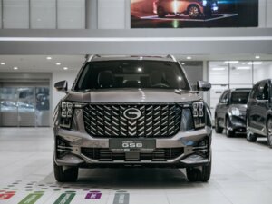 Новый GAC GS8 2026 Dragon 2.0 AT (231 л.с.) 4WD GT  - фото 2