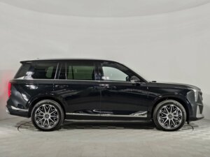Новый GAC GS8 2026 Dragon 2.0 AT (231 л.с.) 4WD GX Premium  - фото 4