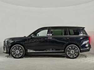 Новый GAC GS8 2026 Dragon 2.0 AT (231 л.с.) 4WD GX Premium  - фото 8
