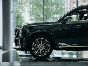 Новый GAC GS8 2026 Dragon 2.0 AT (231 л.с.) 4WD GX Premium  - фото 5