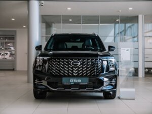 Новый GAC GS8 2026 Dragon 2.0 AT (231 л.с.) 4WD GT  - фото 2