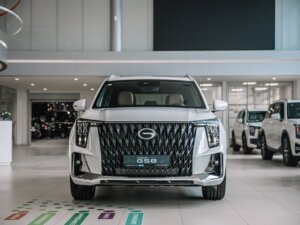 Новый GAC GS8 2026 Dragon 2.0 AT (231 л.с.) 4WD GX Premium  - фото 2