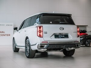 Новый GAC GS8 2026 Dragon 2.0 AT (231 л.с.) 4WD GX Premium  - фото 7