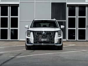 Новый GAC GS8 2026 Dragon 2.0 AT (231 л.с.) 4WD GX Premium  - фото 2