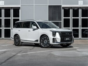 Новый GAC GS8 2026 Dragon 2.0 AT (231 л.с.) 4WD GX Premium  - фото 3