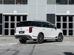 Новый GAC GS8 2026 Dragon 2.0 AT (231 л.с.) 4WD GX Premium  - фото 5