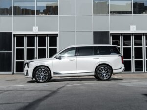 Новый GAC GS8 2026 Dragon 2.0 AT (231 л.с.) 4WD GX Premium  - фото 8
